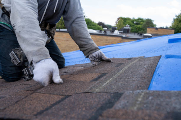 Best Storm Damage Roof Repair  in South Zanesville, OH
