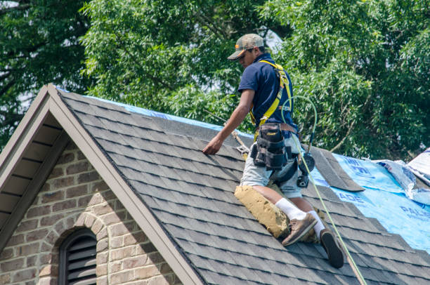 Best Metal Roofing Contractor  in South Zanesville, OH